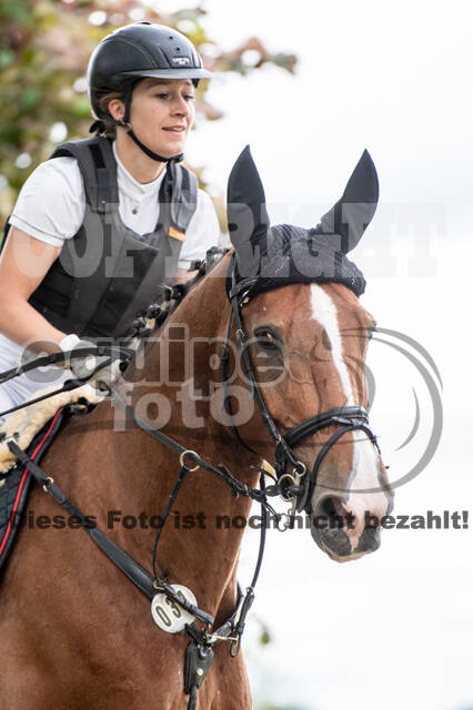 Bonn-Rodderberg Late-Entry-Vielseitigkeit (30.06.2020)