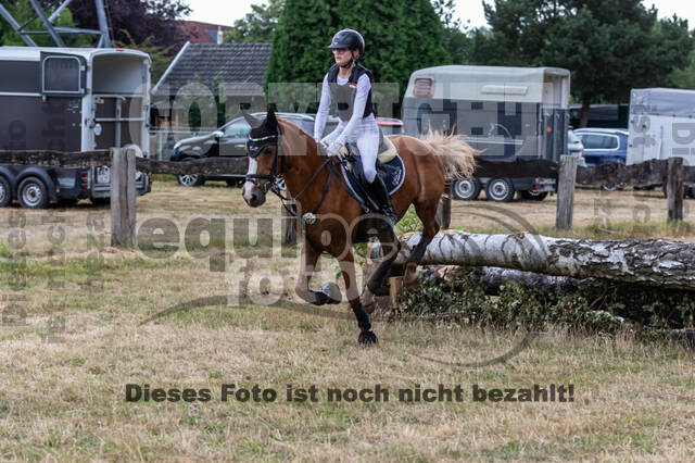 Late-Entry Vielseitigkeit Hamminkeln/Wesel (01.+02.08.2020)