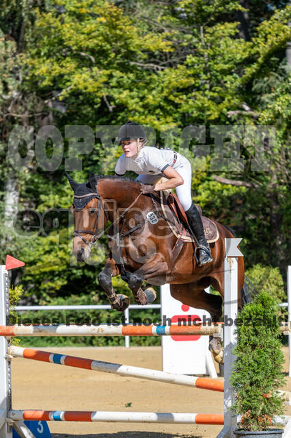 RFV Dinslaken-Hiesfeld (Herbstturnier)