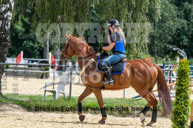 Hunter Geländetraining 10.07.2021 (Sonsbeck)