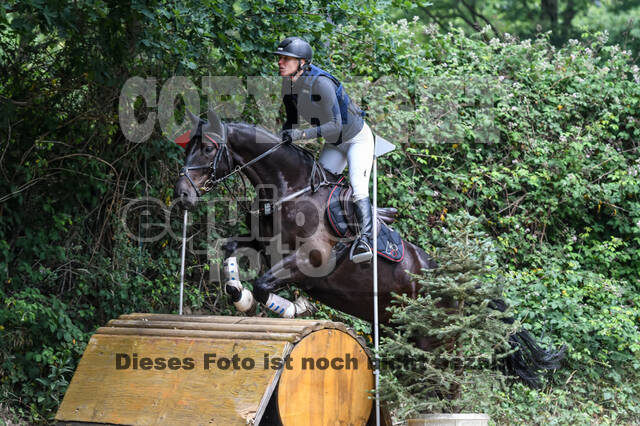 Late-Entry-Vielseitigkeit Langenfeld (11.+13./14.06.2020)