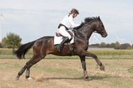 IGV Kleve
