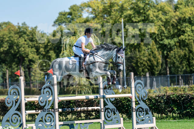 Kronenberg - De Peelbergen (August 2020)