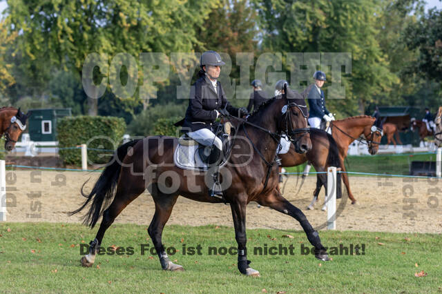 IGV Kleve - Vielseitigkeitsturnier