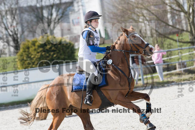 Eventing Langenfeld