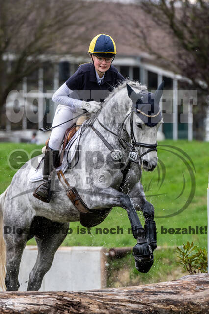 Goldene Schärpe 2020 - Pferde