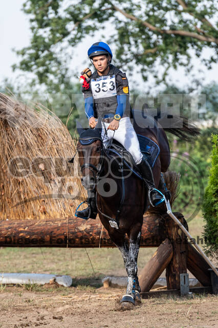 De Peelbergen (August 2020)