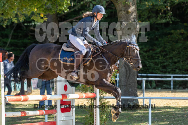 RFV Dinslaken-Hiesfeld (Herbstturnier)