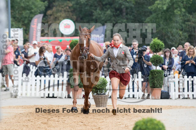 FEI European Championship Eventing 2019