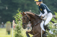 Goldene Schärpe 2021 - Ponys