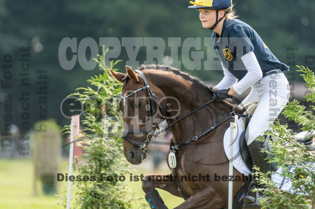 Goldene Schärpe 2021 - Ponys