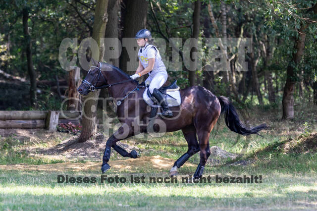 Late-Entry Vielseitigkeit Hamminkeln/Wesel (01.+02.08.2020)
