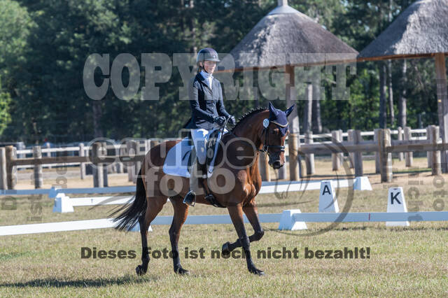 Kronenberg - De Peelbergen (August 2020)