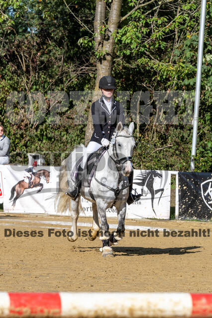 RFV Dinslaken-Hiesfeld (Herbstturnier)