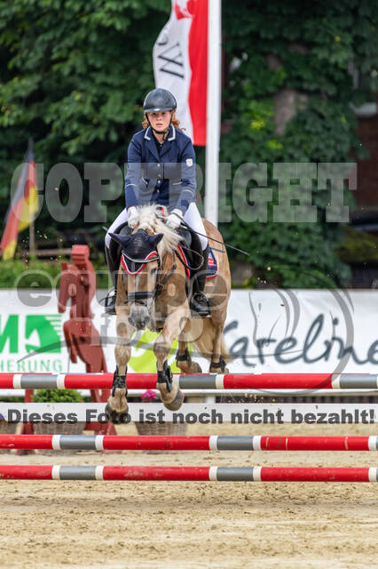 Goldene Schärpe 2021 - Ponys