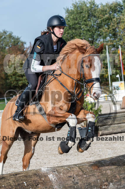 IGV Lehrgang der Sieger der Cups mit Frank Ostholt