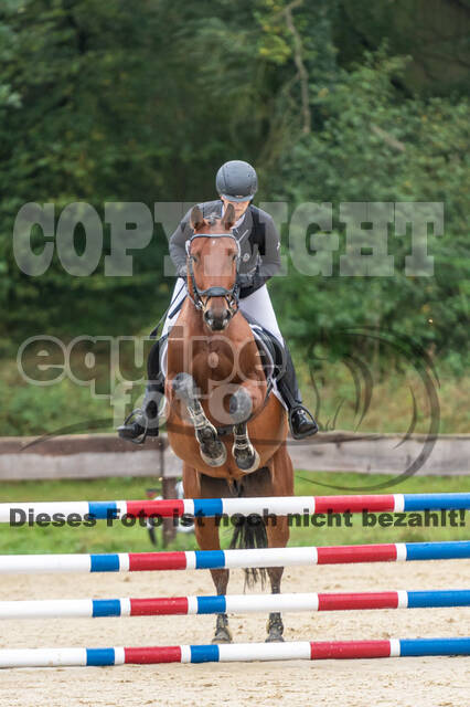 Vielseitigkeit RSV Wesel Obrighoven (26.+27.09.2020)