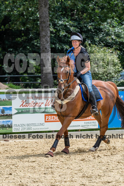 Hunter Geländetraining 10.07.2021 (Sonsbeck)
