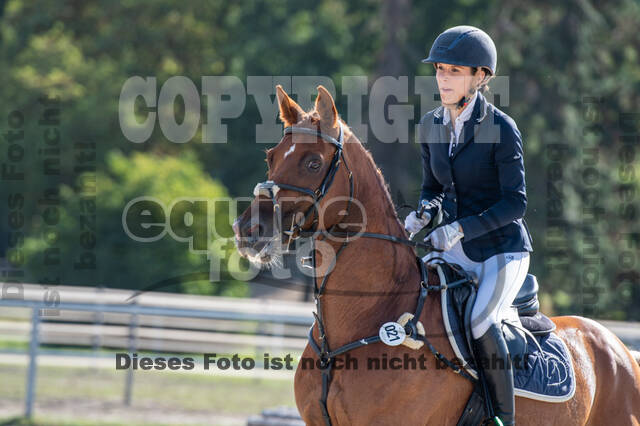 Landesturnier Rheinland, Vielseitigkeit, 22.+23.08.2020