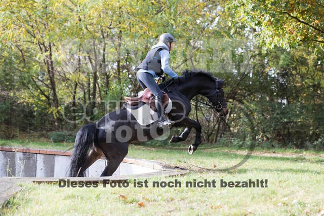 IGV Lehrgang der Sieger der Cups mit Frank Ostholt