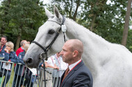 FEI European Championship Eventing 2017