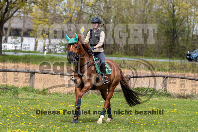 Geländetraining ZRFV Hamminkeln (24+25.04.2021)