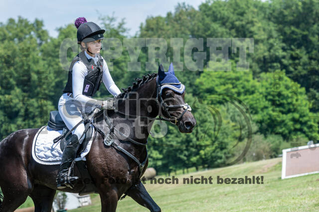 Goldene Schärpe 2021 - Ponys