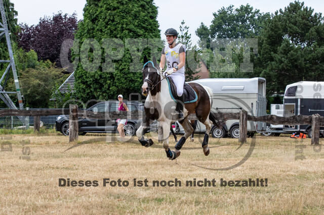 Late-Entry Vielseitigkeit Hamminkeln/Wesel (01.+02.08.2020)