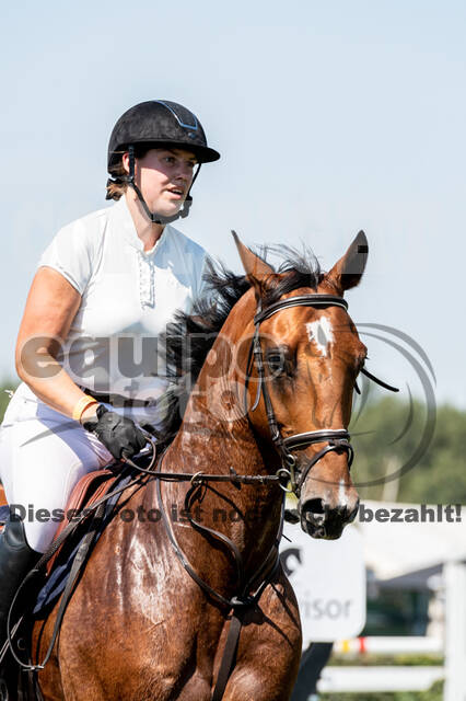 Kronenberg - De Peelbergen (August 2020)