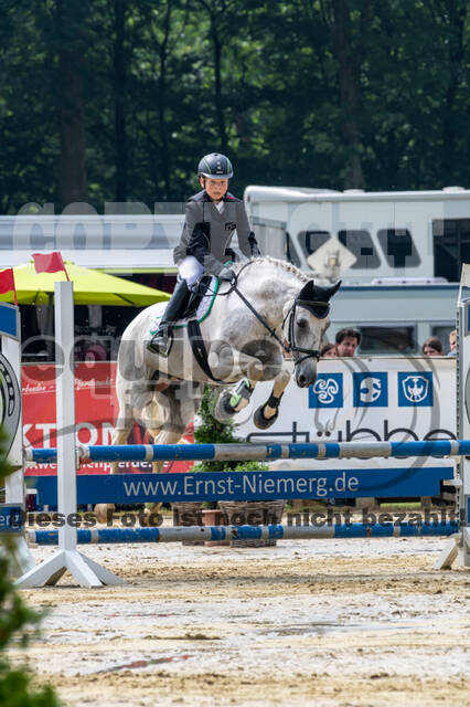 Goldene Schärpe 2021 - Ponys