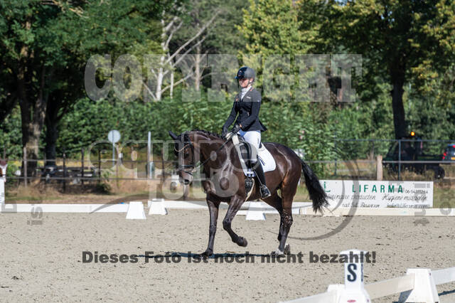 Kronenberg - De Peelbergen (August 2020)