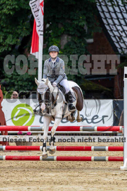 Goldene Schärpe 2021 - Ponys