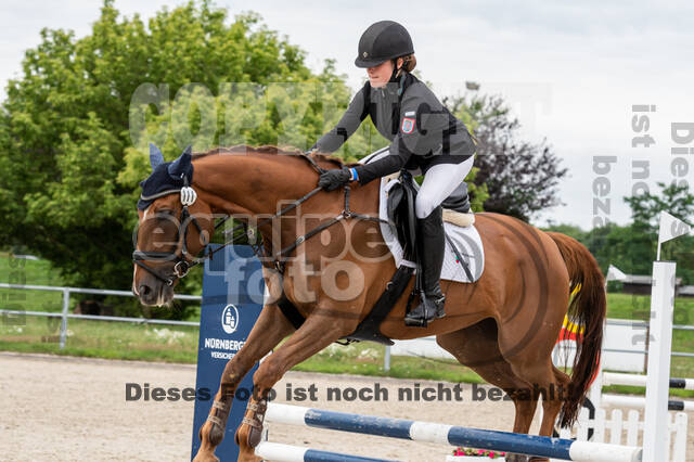 Late-Entry-Vielseitigkeit Langenfeld (06.+07.07.2020)