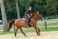 Hunter Geländetraining 10.07.2021 (Sonsbeck)