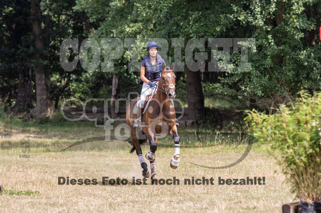 Late-Entry Vielseitigkeit Hamminkeln/Wesel (01.+02.08.2020)