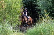 Late-Entry Vielseitigkeit Hamminkeln/Wesel (01.+02.08.2020)