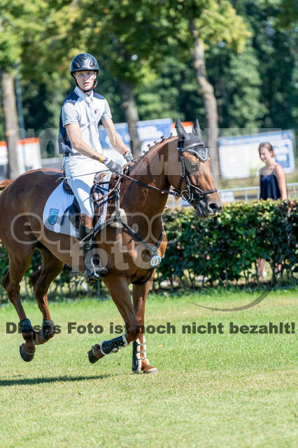 Kronenberg - De Peelbergen (August 2020)