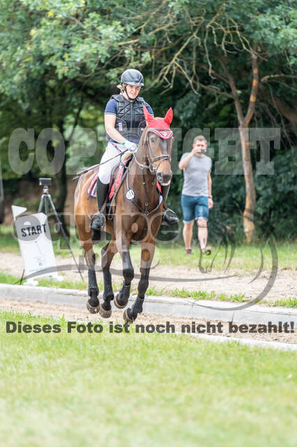 Late-Entry-Vielseitigkeit Langenfeld (11.+13./14.06.2020)