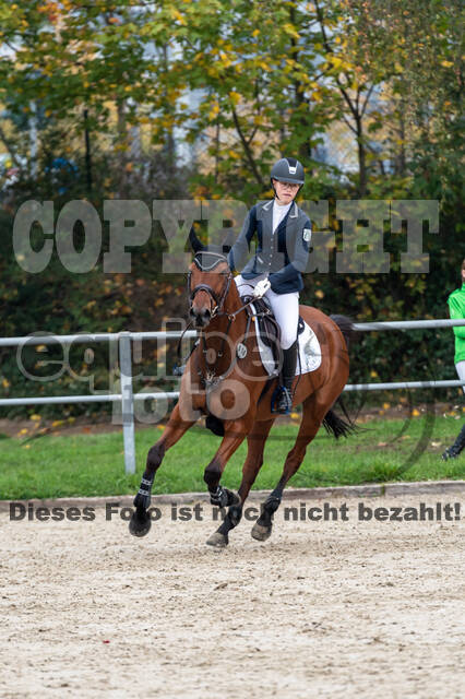 Goldene Schärpe 2020 - Pferde