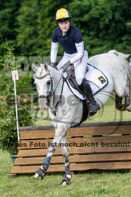 Goldene Schärpe 2021 - Ponys