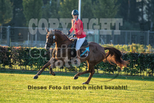 De Peelbergen (August 2020)