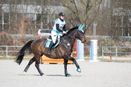 Eventing Langenfeld 2018