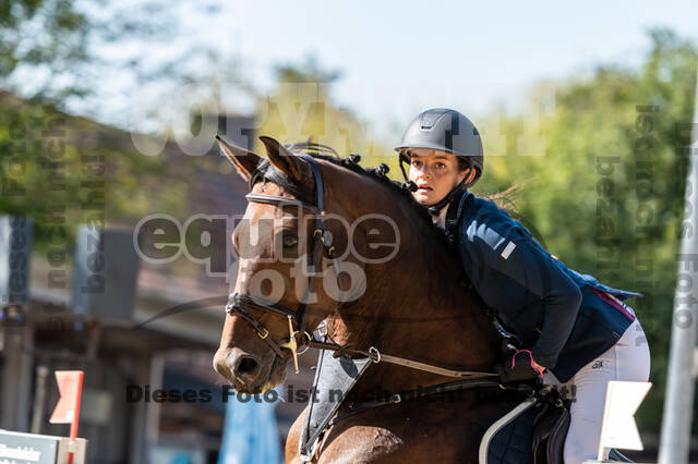 RFV Dinslaken-Hiesfeld (Herbstturnier)