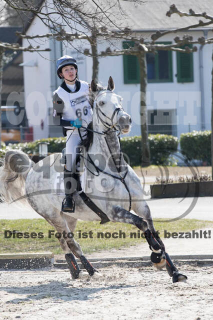Eventing Langenfeld