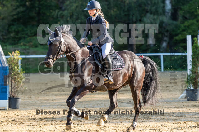 RFV Dinslaken-Hiesfeld (Herbstturnier)