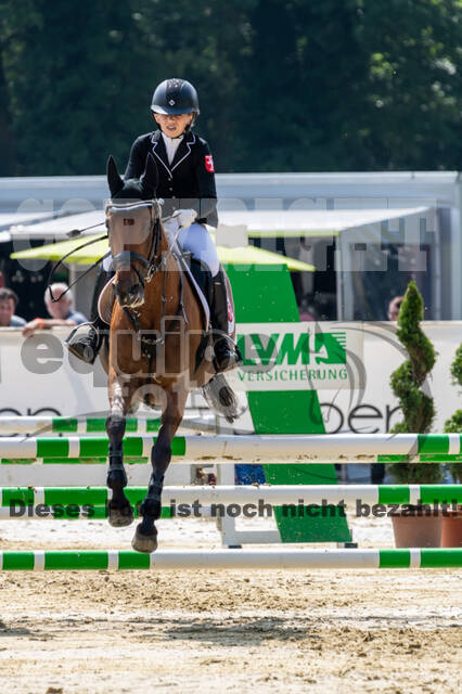 Goldene Schärpe 2021 - Ponys
