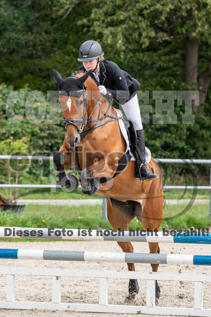 Late-Entry-Vielseitigkeit Langenfeld (06.+07.07.2020)