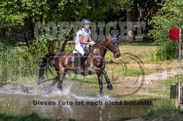 Late-Entry Vielseitigkeit Hamminkeln/Wesel (01.+02.08.2020)