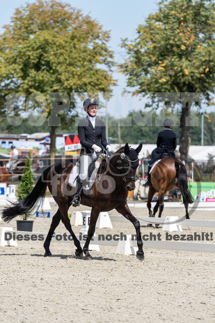 Kronenberg - De Peelbergen (August 2020)