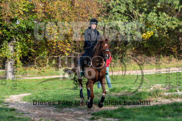 IGV Lehrgang der Sieger der Cups mit Frank Ostholt